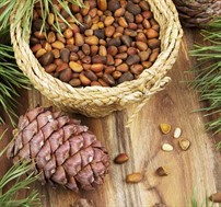 Ореховый гид